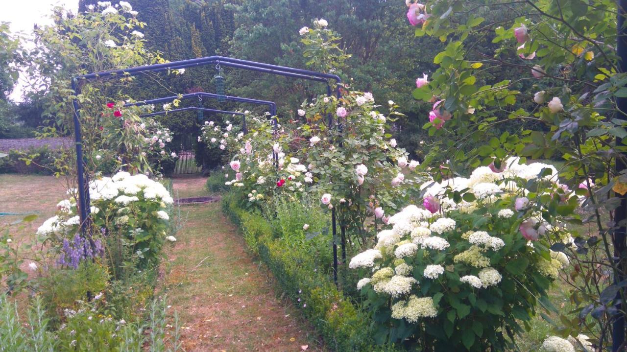 Le Jardin Des Ecureuils Hotel Demuin Exterior foto